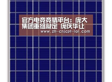 官方电竞竞猜平台:庞大集团重组敲定 庞庆华让渡全部股份(图1) LOL英雄联盟投注