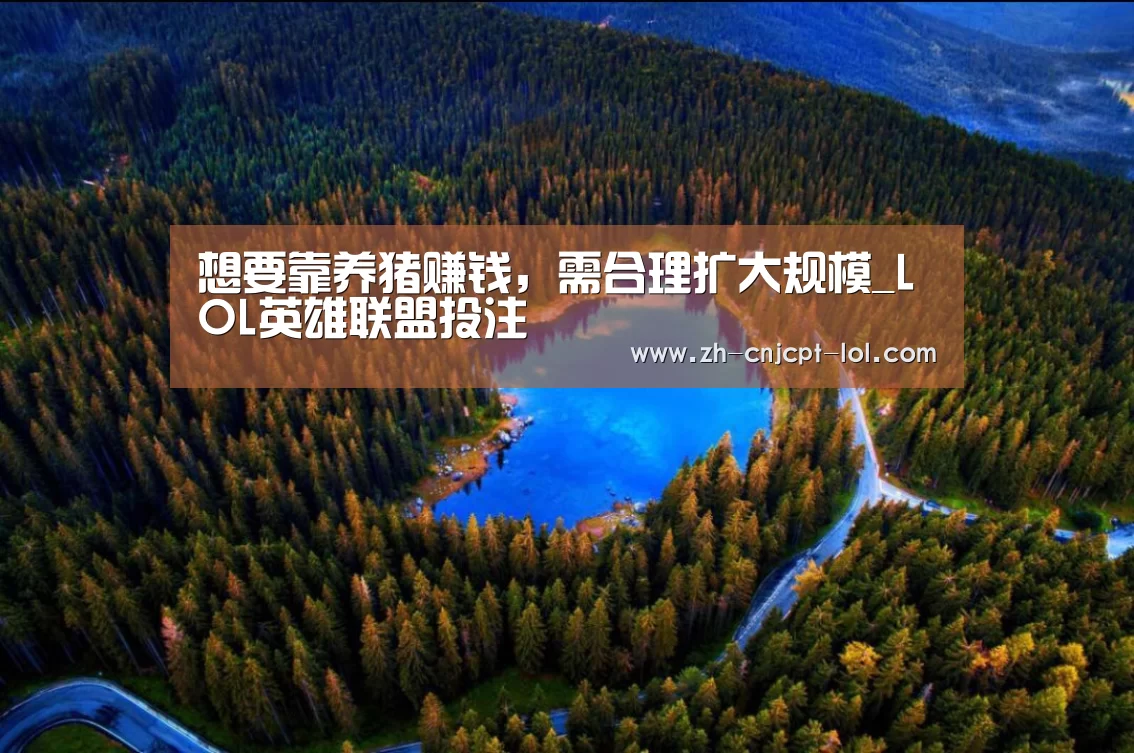 想要靠养猪赚钱,需合理扩大规模_LOL英雄联盟投注 (图4) 官方电竞竞猜平台