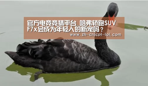 LOL英雄联盟投注 