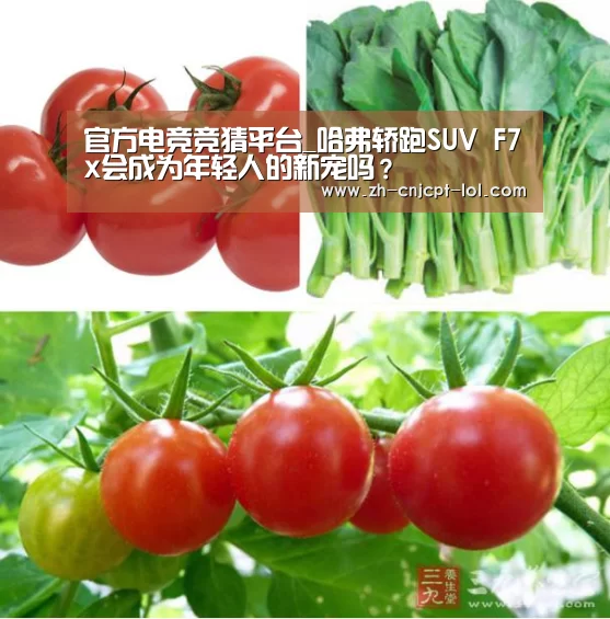  官方电竞竞猜平台