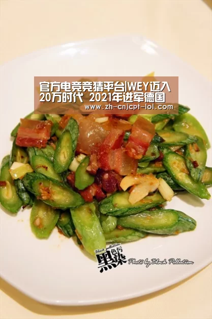 官方电竞竞猜平台|WEY迈入20万时代 2021年进军德国市场(图2) 官方电竞竞猜平台