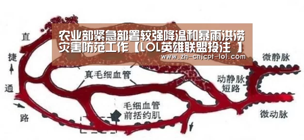 农业部紧急部署较强降温和暴雨洪涝灾害防范工作【LOL英雄联盟投注 】(图3) 官方电竞竞猜平台