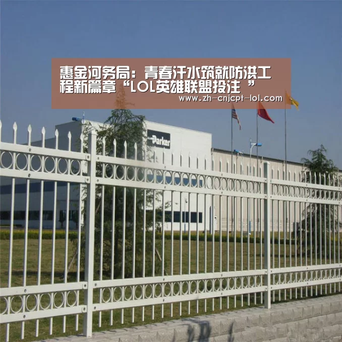 惠金河务局:青春汗水筑就防洪工程新篇章“LOL英雄联盟投注 ”(图2) 官方电竞竞猜平台