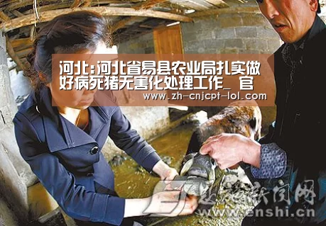 河北:河北省易县农业局扎实做好病死猪无害化处理工作_ 官方电竞竞猜平台(图1) LOL英雄联盟投注