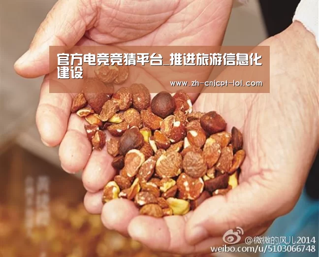 官方电竞竞猜平台_推进旅游信息化建设(图2) 官方电竞竞猜平台
