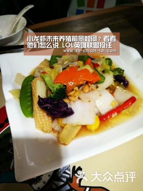 小龙虾未来养殖前景如何?看看他们怎么说_LOL英雄联盟投注 (图1) LOL英雄联盟投注