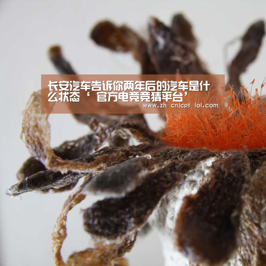 LOL英雄联盟投注 