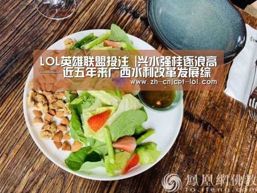 LOL英雄联盟投注 |兴水强桂逐浪高——近五年来广西水利改革发展综述(图1) LOL英雄联盟投注