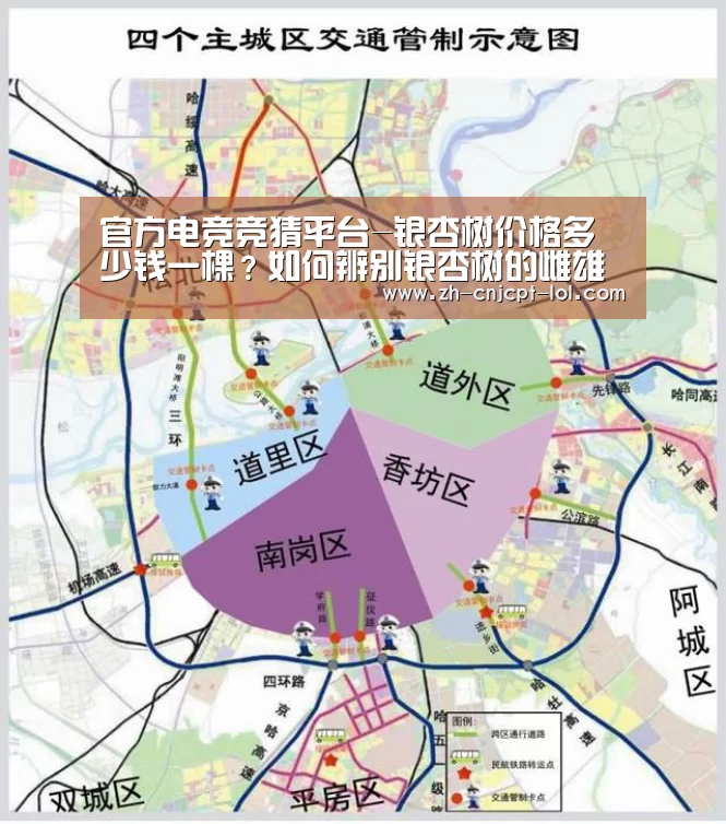 官方电竞竞猜平台-银杏树价格多少钱一棵?如何辨别银杏树的雌雄?(附管理要点)(图1) 官方电竞竞猜平台