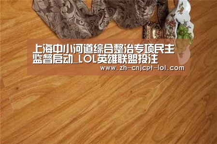 LOL英雄联盟投注 