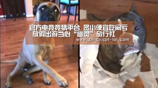 官方电竞竞猜平台_贪小便宜吃闷亏 放假出游当心“幽灵”旅行社(图1) LOL英雄联盟投注