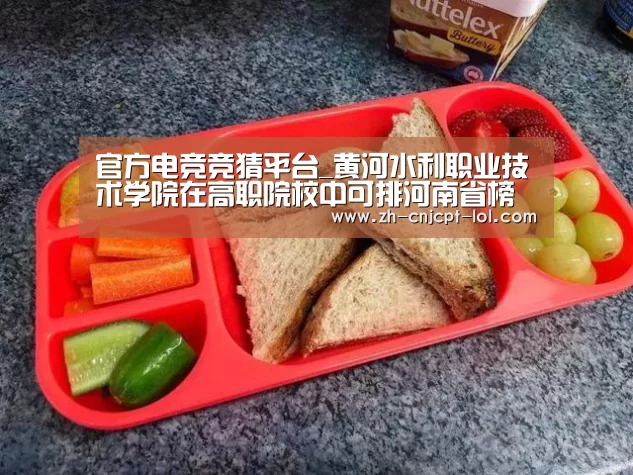 官方电竞竞猜平台_黄河水利职业技术学院在高职院校中可排河南省榜首,全国第14名(图2) LOL英雄联盟投注