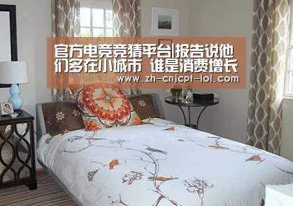 官方电竞竞猜平台|报告说他们多在小城市 谁是消费增长主力军?(图2) LOL英雄联盟投注