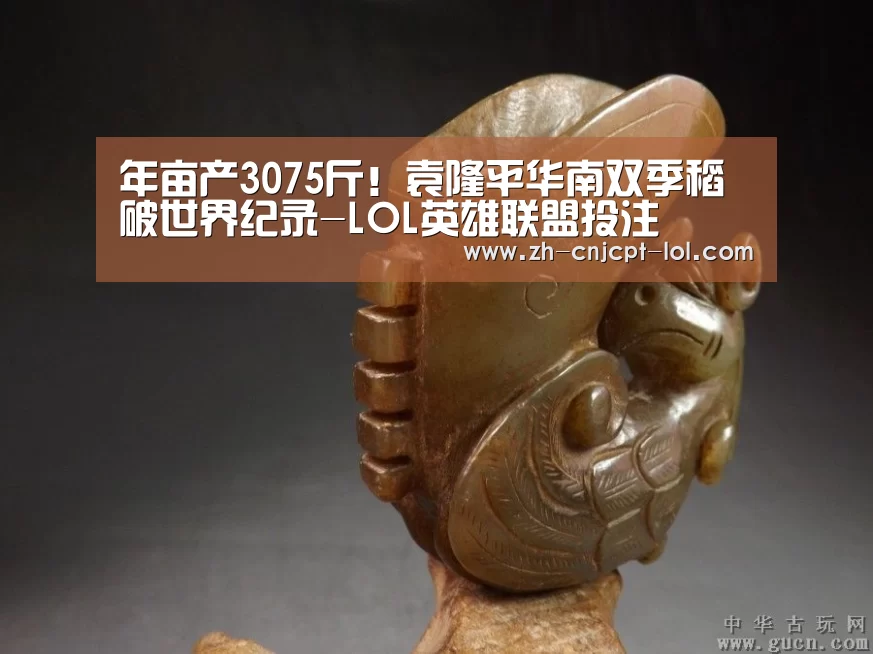  官方电竞竞猜平台
