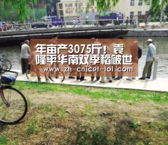 LOL英雄联盟投注 